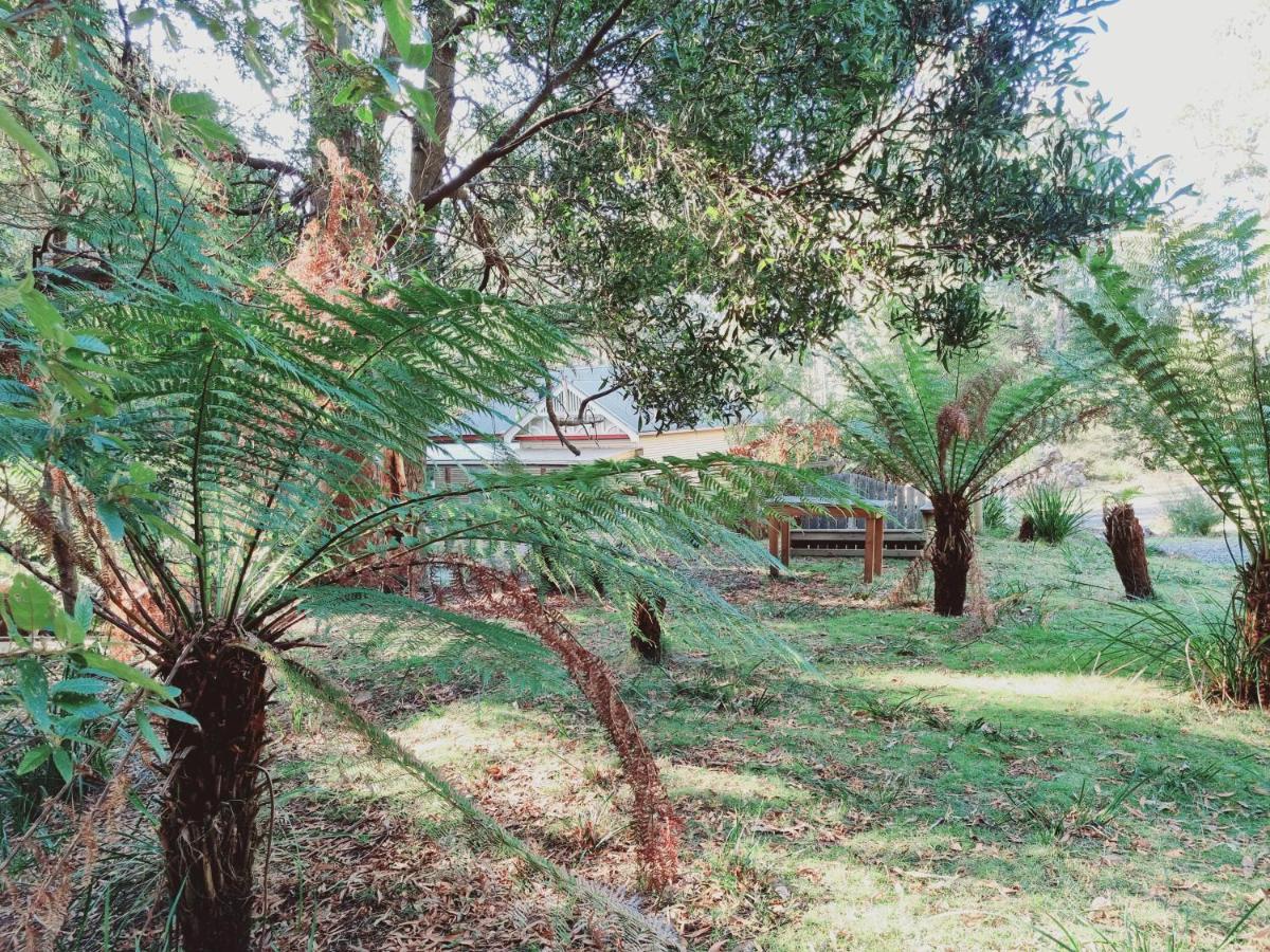 Claude Road Roland B&B מראה חיצוני תמונה