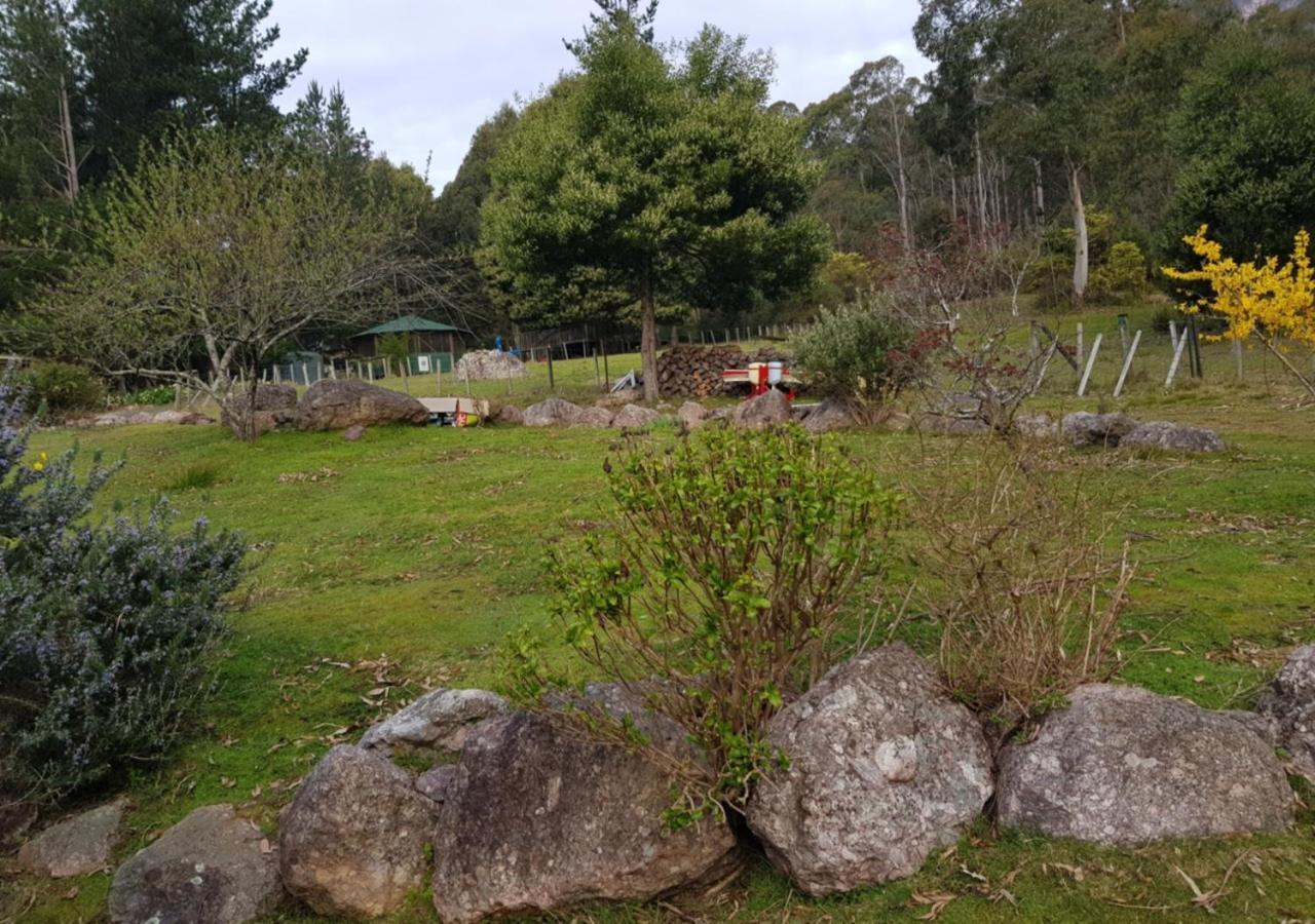 Claude Road Roland B&B מראה חיצוני תמונה