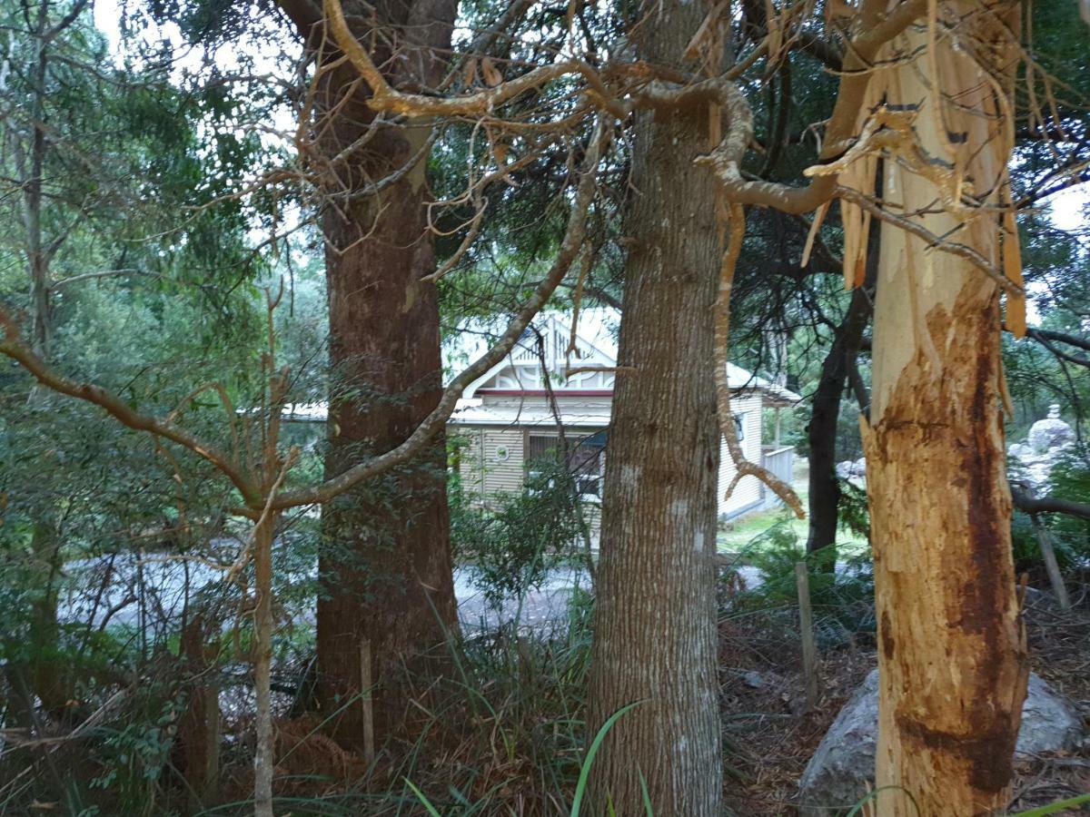 Claude Road Roland B&B מראה חיצוני תמונה